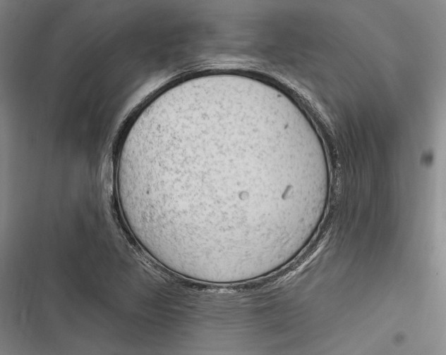 X0000116851317201001121211