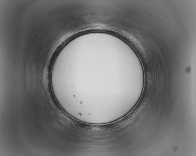 X0000116851318201001121211