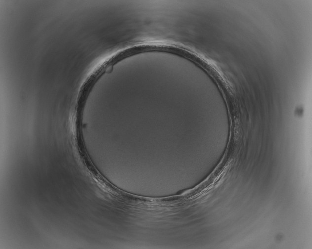 X0000116851319201001121211