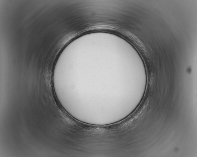 X0000116851321201001121212