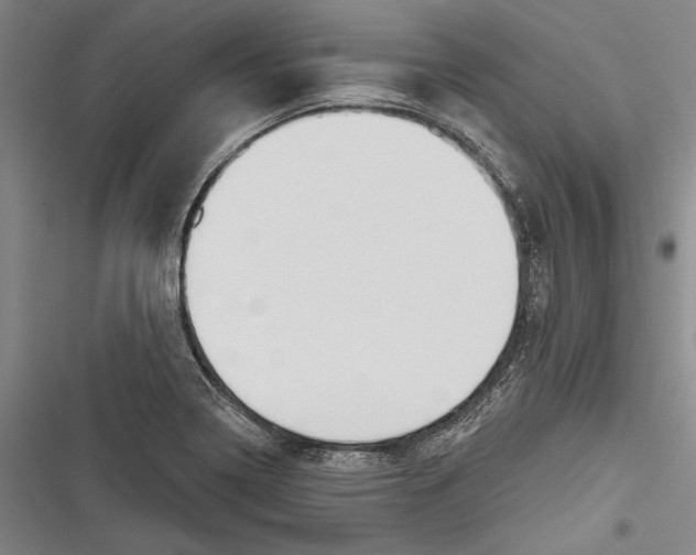 X0000116851322201001121212