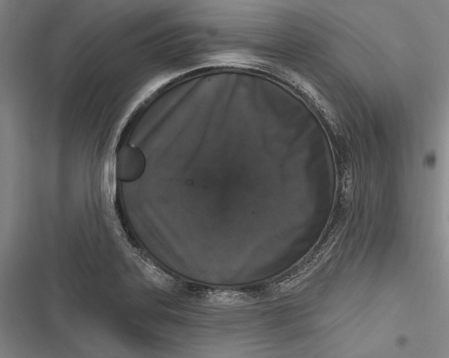 X0000116851323201001121212