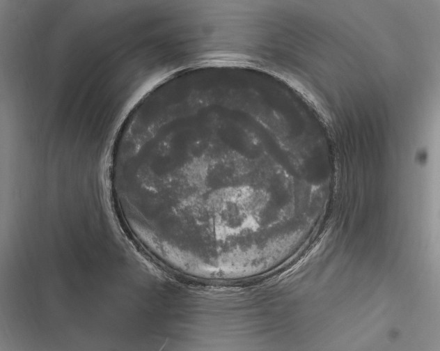 X0000116851325201001121212