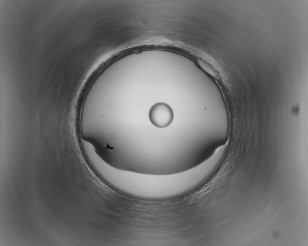 X0000116851326201001121212