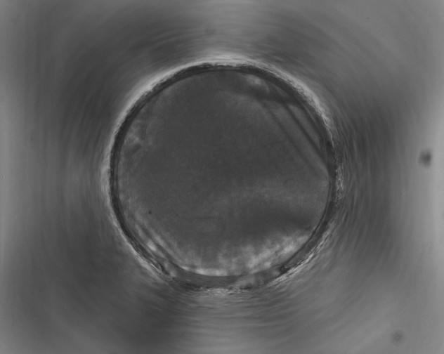 X0000116851327201001121212