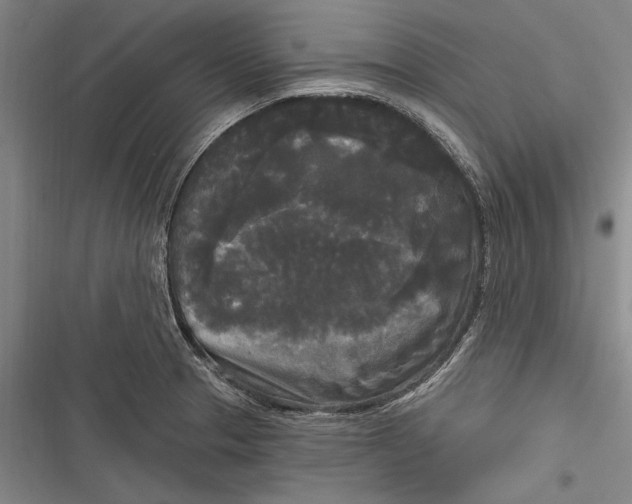 X0000116851329201001121212