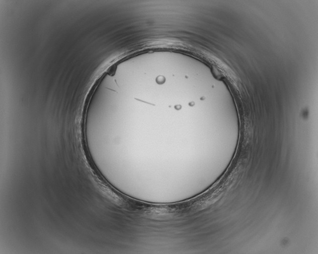 X0000116851330201001121212