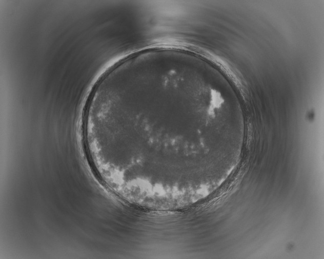 X0000116851331201001121212