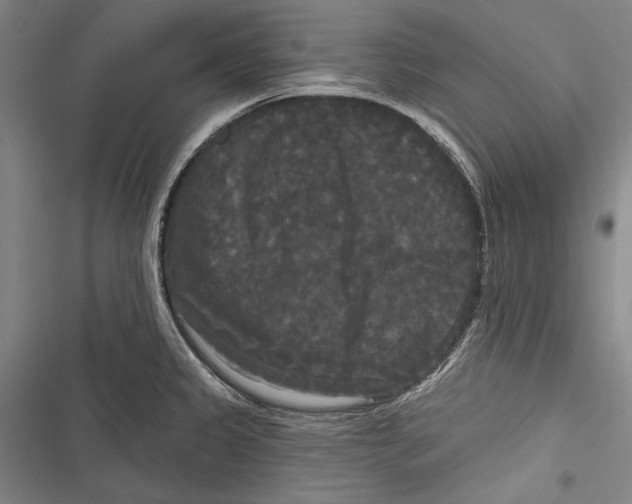 X0000116851333201001121212