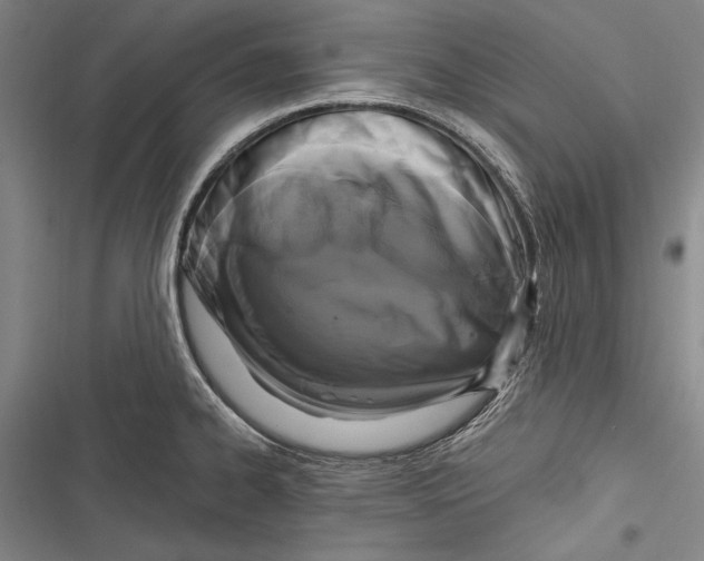 X0000116851334201001121212