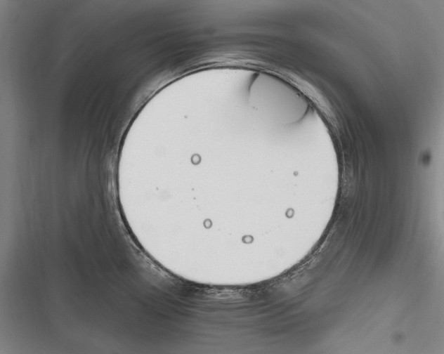 X0000116851338201001121212