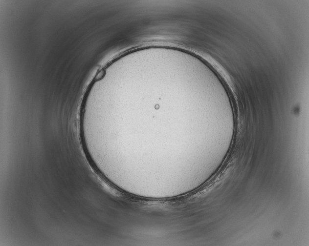 X0000116851341201001121212