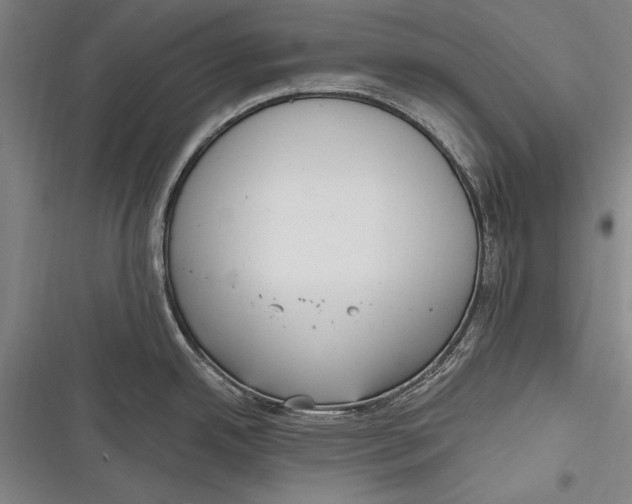 X0000116851342201001121212