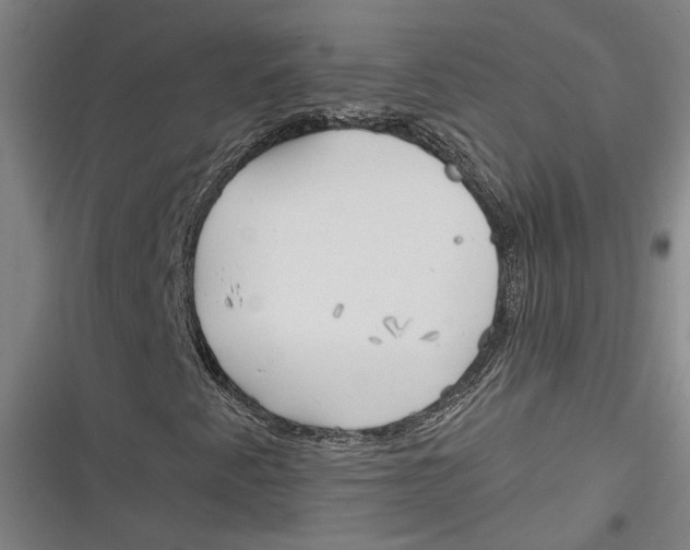 X0000116851345201001121211