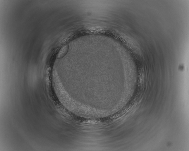 X0000116851346201001121211