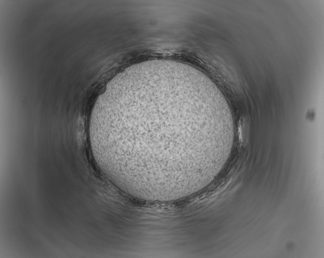 X0000116851347201001121211