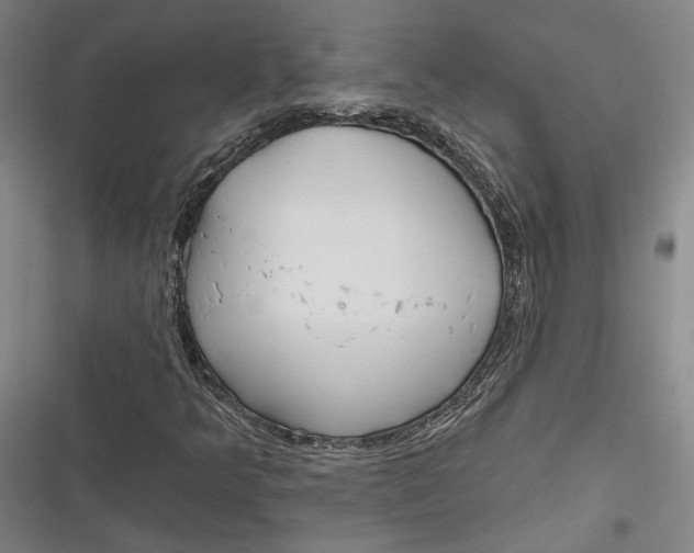 X0000116851349201001121211