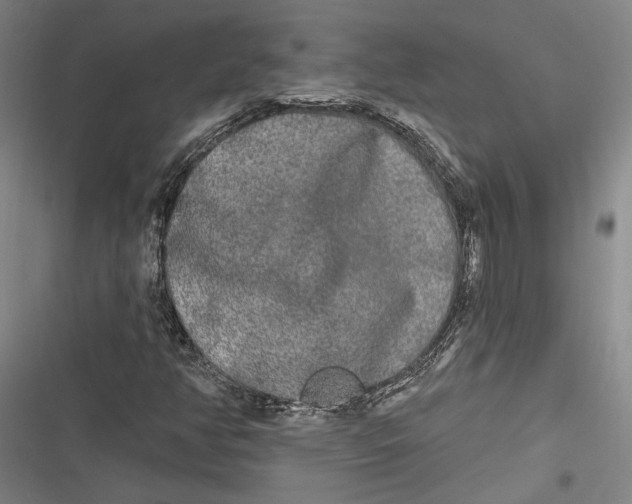 X0000116851350201001121211