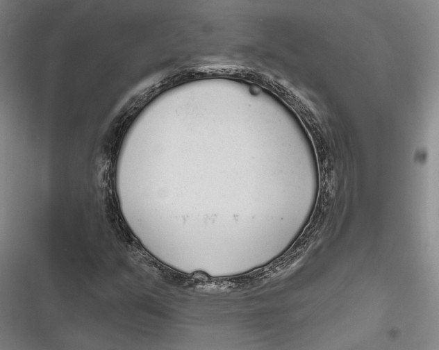 X0000116851351201001121211