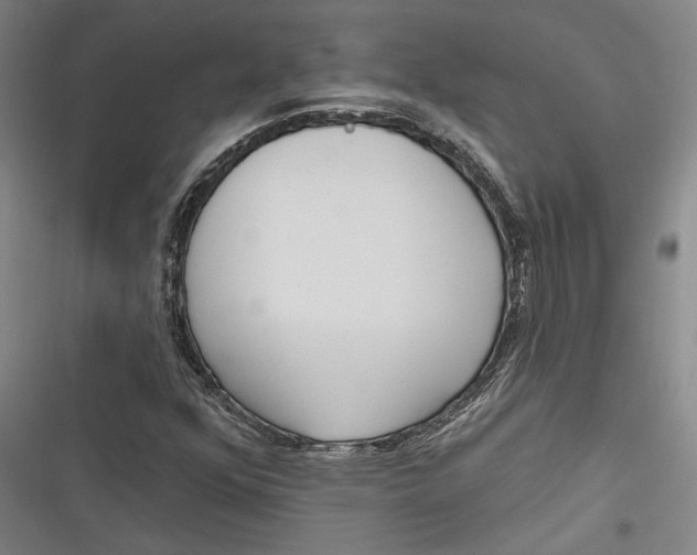 X0000116851352201001121211