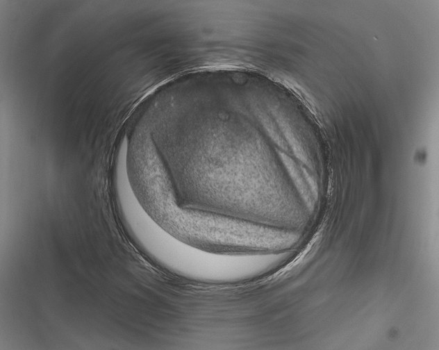 X0000116851353201001121211