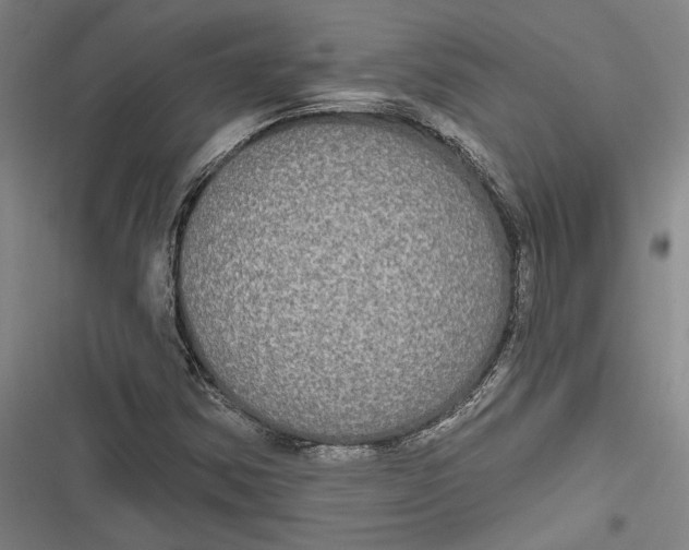 X0000116851354201001121211