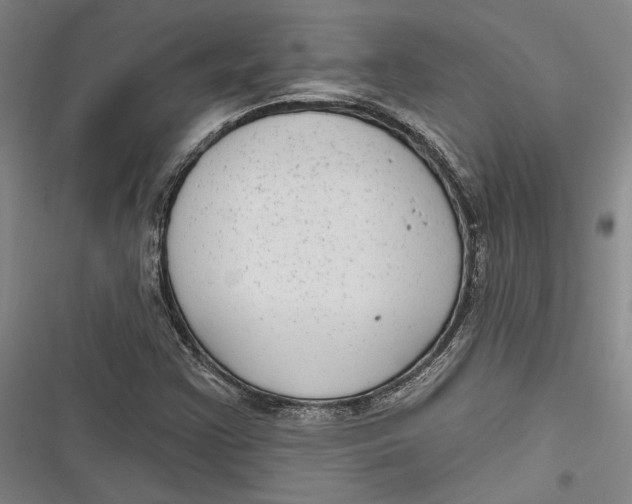 X0000116851355201001121211