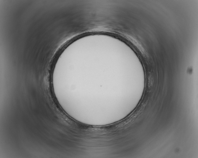 X0000116851356201001121211