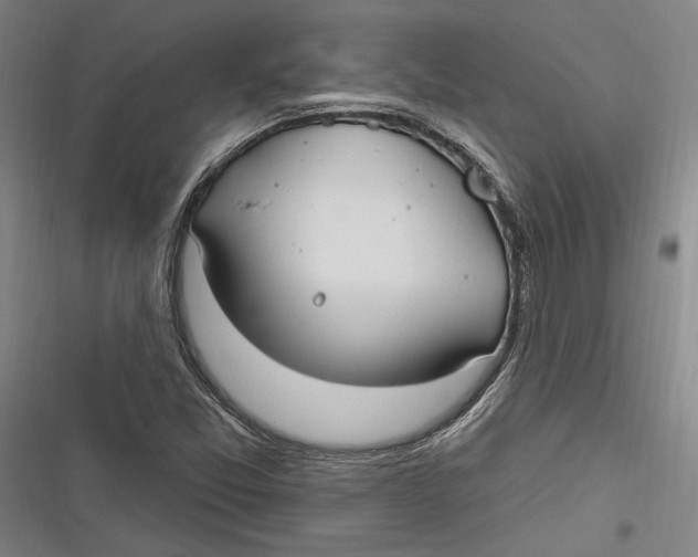 X0000116851357201001121211