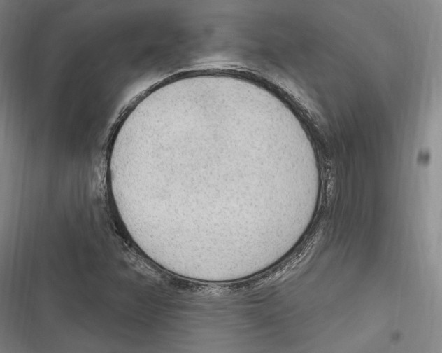 X0000116851358201001121211