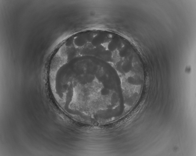 X0000116851359201001121211