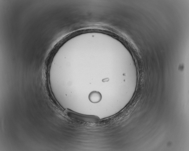 X0000116851360201001121211