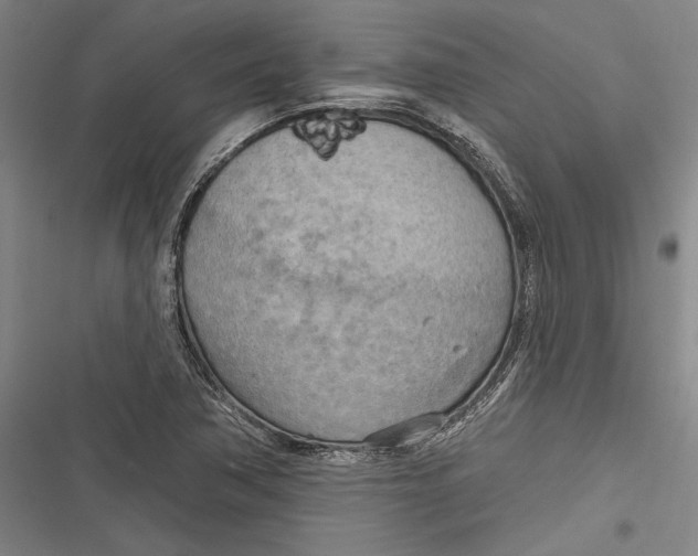 X0000116851362201001121211