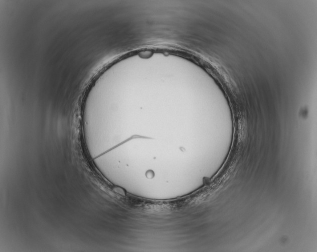 X0000116851363201001121211