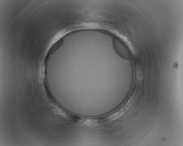 X0000116851365201001121211