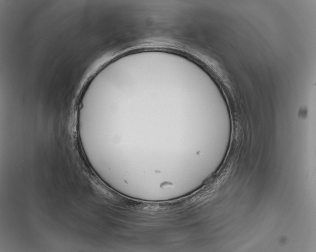 X0000116851366201001121211