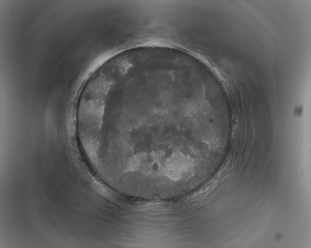 X0000116851367201001121211