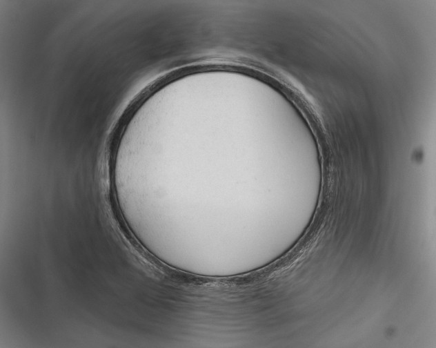 X0000116851368201001121211