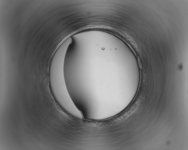 X0000116851369201001121211