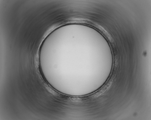 X0000116851370201001121211