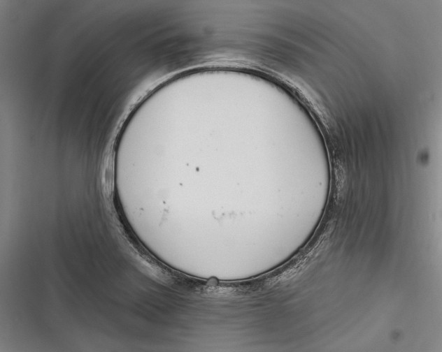 X0000116851371201001121211