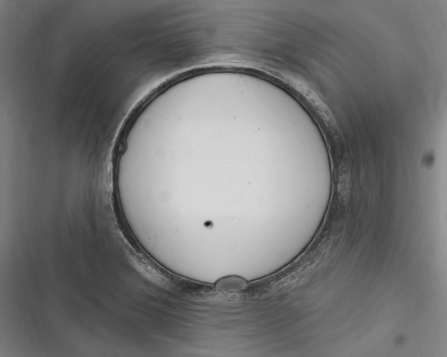 X0000116851372201001121211