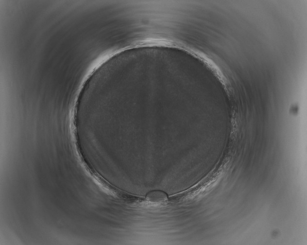 X0000116851373201001121211