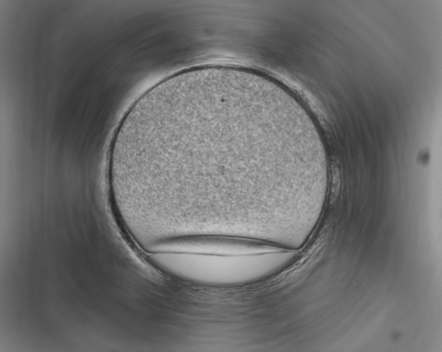 X0000116851375201001121211