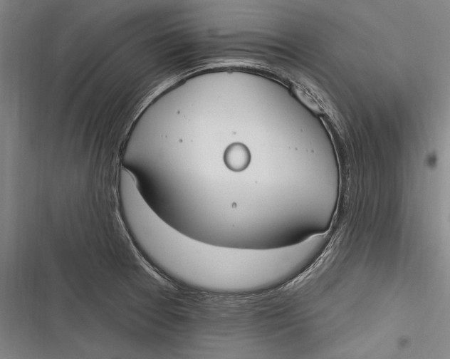 X0000116851377201001121211