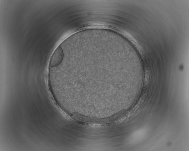 X0000116851378201001121211