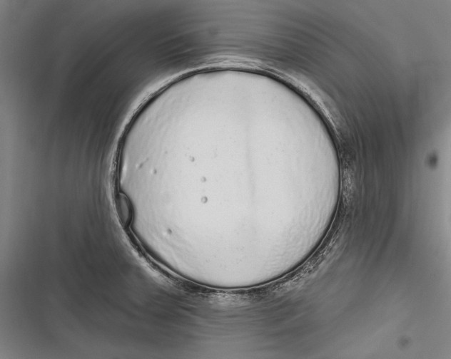 X0000116851379201001121211