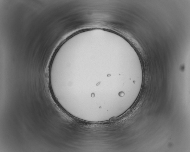 X0000116851380201001121211