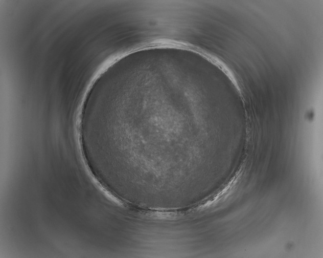 X0000116851381201001121211