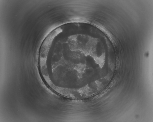 X0000116851383201001121211